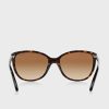 Lunettes de soleil papillon marron Ralph Lauren 0RA5160 pour femme Lunettes de soleil papillon marron Ralph Lauren 0RA5160 pour femme