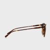 Lunettes de soleil rondes marron Ralph Lauren 0Ph4110 pour homme